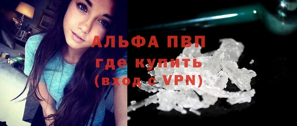 стаф Арсеньев