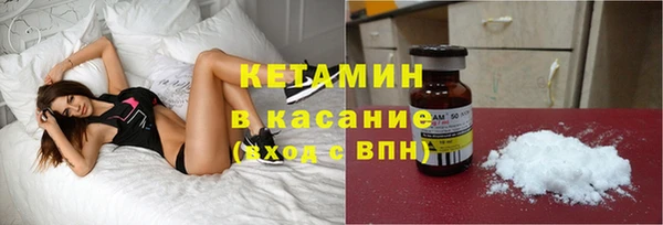 стаф Арсеньев