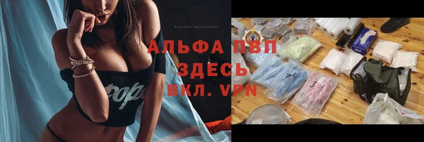 стаф Арсеньев