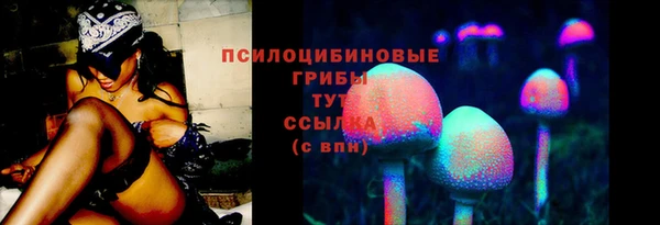 стаф Арсеньев