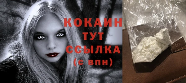 дживик Аркадак