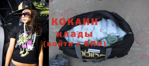 дживик Аркадак