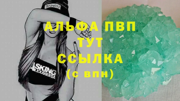 стаф Арсеньев