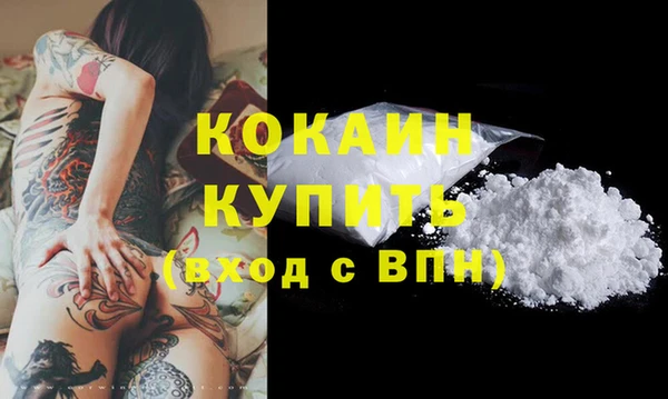 стаф Арсеньев